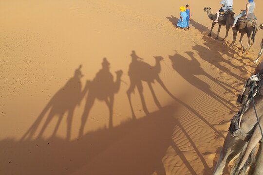 Tour image 6